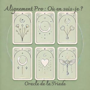 Professionel - Alignement Pro : Où en suis-je ? (état d’esprit, blocages, pistes d’évolution, conseil) - Oracle de la Triade