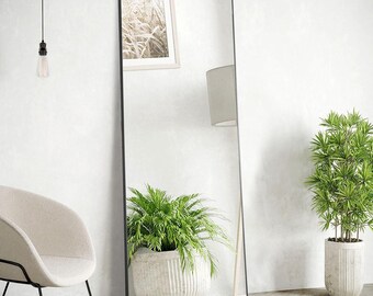 May include: A full-length mirror with a black frame, reflecting a potted plant with green leaves and a white planter. The mirror is standing on a light wood floor.