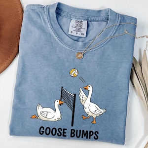 May include: A blue short-sleeve t-shirt featuring a graphic of two white geese playing volleyball over a net with a ball in the air. The text "GOOSE BUMPS" is printed in black below the geese. The shirt has a Comfort Colors brand label.
