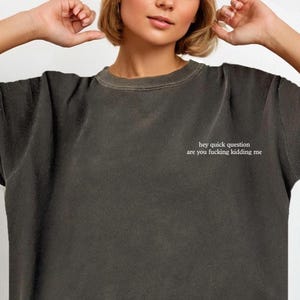 May include: A charcoal grey short-sleeve t-shirt with a crew neckline. The front features small white text on the left chest that reads: hey quick question are you fucking kidding me. The fabric has a washed, vintage-style faded appearance.