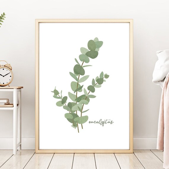 Botanical Printable Eucalyptus Photo Tropical Plant Plant Eucalyptus Farmhouse Poster Eucalyptus Print Interior Decor Natural Tones