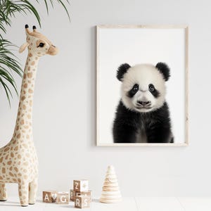 Prints, Wall Art, Home Decor