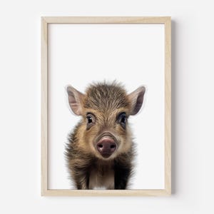 Baby Wild Boar Print, Safari Bedroom Decor, Baby Wild Boar Nursery Decor, Wild Boar Wall Art, Baby Wild Boar Poster, Wild Boar Room Art,