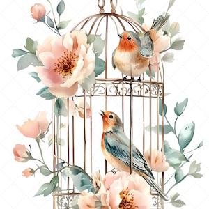 16 imágenes prediseñadas de aves en acuarela, pájaros vintage, ilustraciones florales y jaulas de pájaros, imágenes prediseñadas de primavera, descarga digital, scrapbooking, invitaciones
