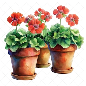Aquarel geranium bloempotten clipartbundel | Bloemen terracotta plantenbakillustraties | Vintage botanische kunst om te knutselen