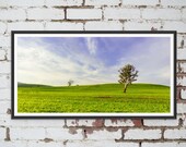 Green Field Landscape near Derby in Tasmania, Australia. Wall Art, Travel Landscape Poster
