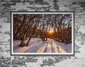 Mt St Gwinear Sunrise in Baw Baw National Park in Victoria, Australia. Wall Art, Travel Landscape Poster