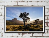 Barn Bluff Mountain Landscape on the Overland Track near Cradle Mountain in Tasmania, Australia. Wall Art, Travel Landscape Poster
