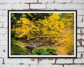Alfred Nicholas Memorial Gardens in the Dandenong Ranges in Melbourne, Victoria, Australia. Wall Art, Travel Landscape Poster