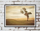 Lonesome Gum Tree in Gundagai, New South Wales, Australia. Wall Art, Travel Landscape Poster