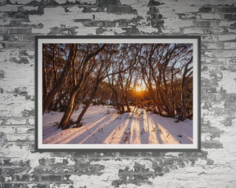 Impression de lever de soleil du parc national de Baw Baw, arbres de gomme des neiges, Victoria, Australie