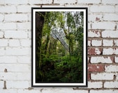 Rainforest Gallery Warburton in Melbourne, Victoria, Australia. Wall Art, Travel Landscape Poster