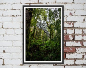 Rainforest Gallery Warburton in Melbourne, Victoria, Australia. Wall Art, Travel Landscape Poster