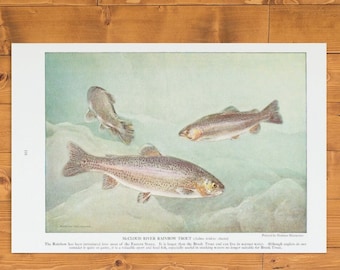 Vintage Rainbow Trout Painting by Murayama: Fishing Decor (Digital Download)