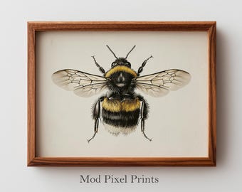 Vintage Bumblebee Illustration - Natural History Art Printable, Rustic Cottagecore Decor, Neutral Farmhouse Wall Art, Digital Download 34