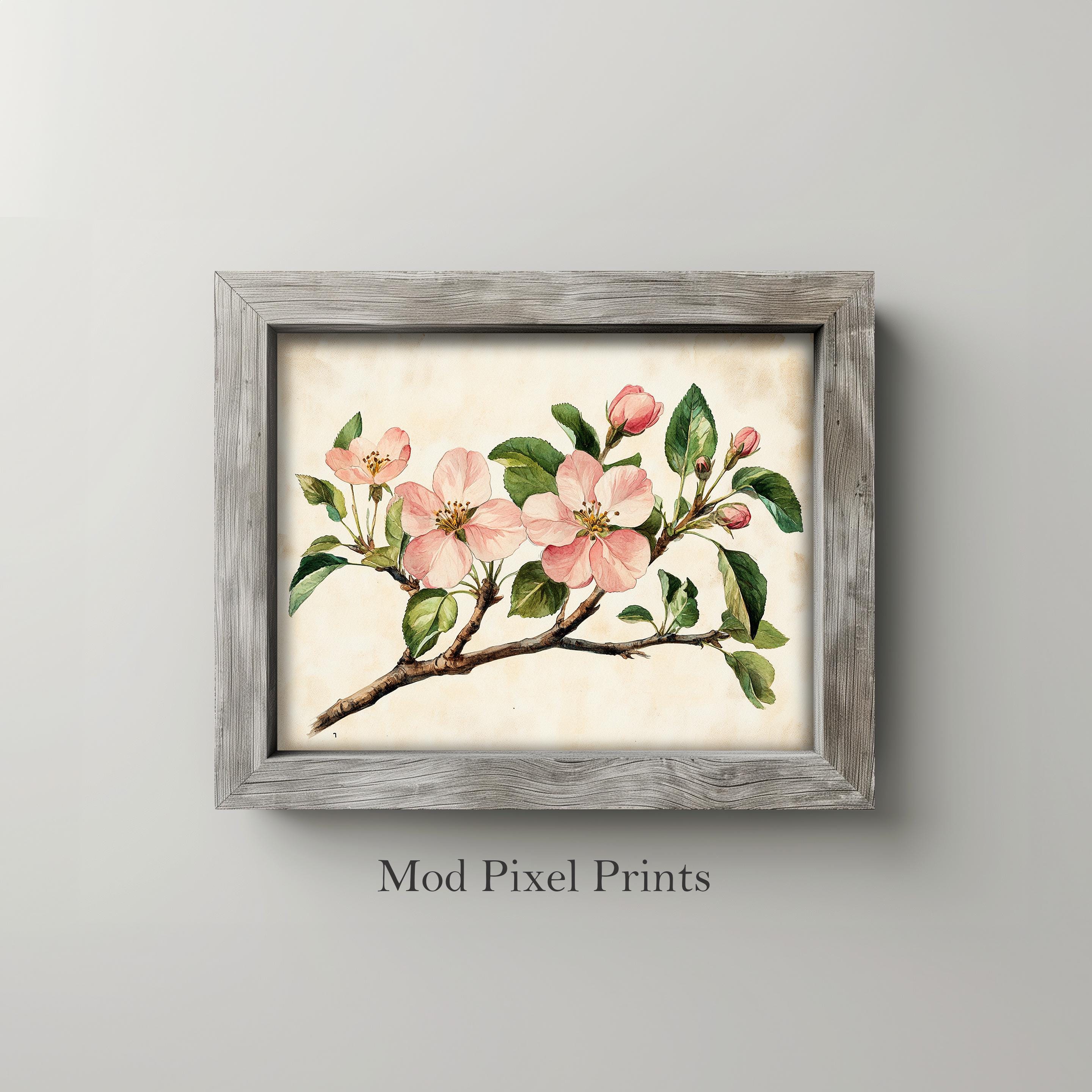 Vintage Apple Blossoms Botanical Print - Printable Cottagecore Floral ...