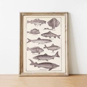 Vintage Fisch Wand Kunst Druck: Rustikale Bauernhaus Dekoration (Digitaler Download)