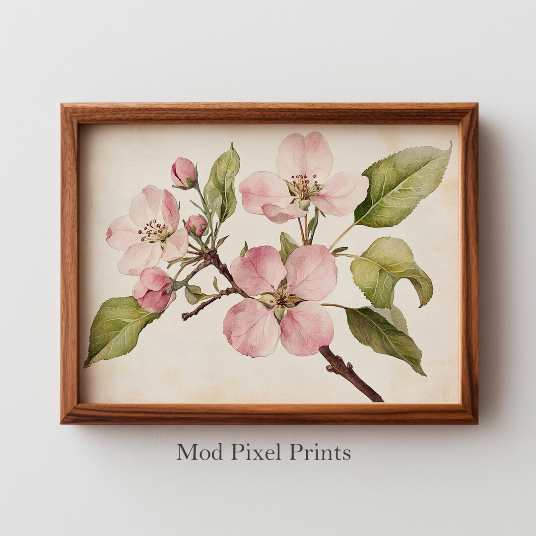 Vintage Apple Blossoms Botanical Print - Cottagecore Floral ...