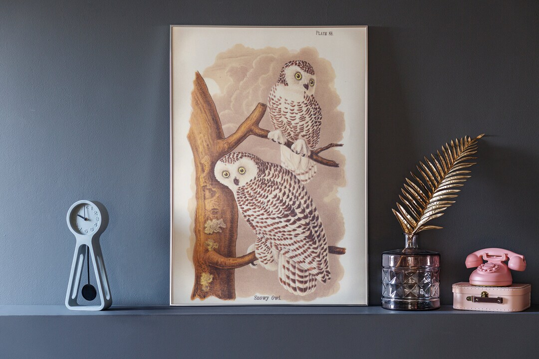Antique Snowy Owl Art Print | Snowy Owl Wall Decor | PRINTABLE Digital ...