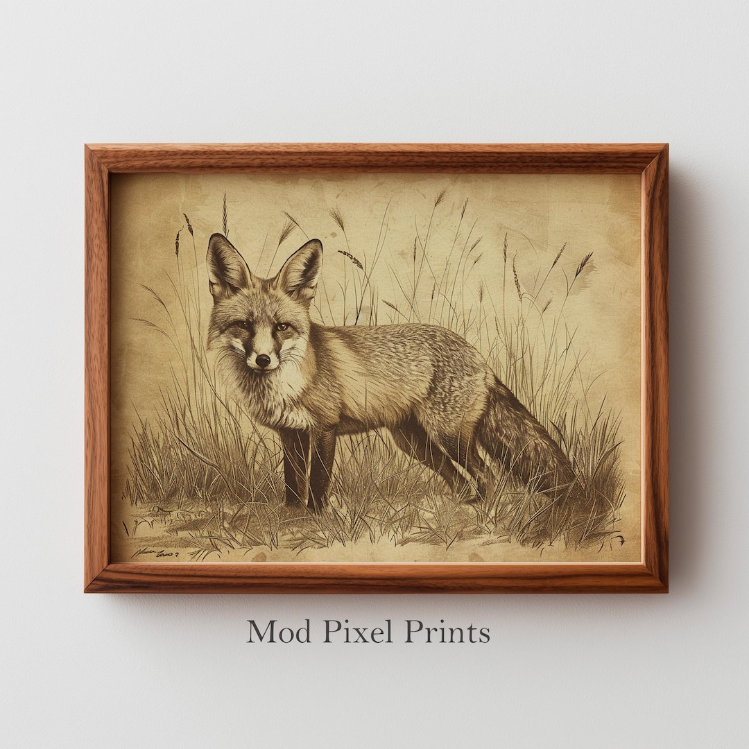Rustic Fox Image Vintage Red Fox Illustration - Rustic Farmhouse Wall Art, Natural ...