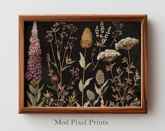 Vintage Illustration eines botanischen Herbariums - stimmungsvoller Apotheker Wildblumen und Kräuter, Cottagecore Wandkunst, Printable Dark Academia Decor 76