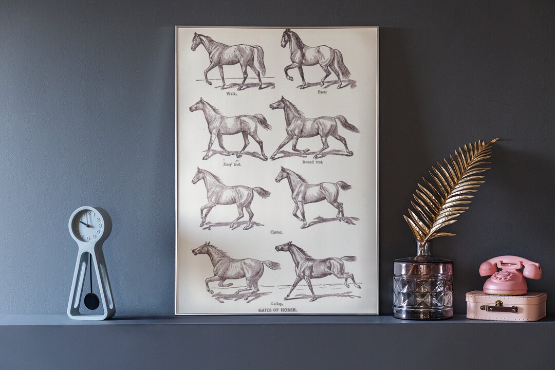 Vintage Horse Wall Art Digital Download Rustic Farm House Decor Antique Country Farmhouse Wall