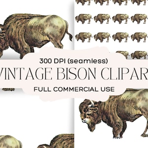 May include: A seamless pattern featuring a vintage illustration of a brown bison. The pattern is 300 DPI and is for full commercial use.  "Vintage Bison Clipart" is written in the center of the image.