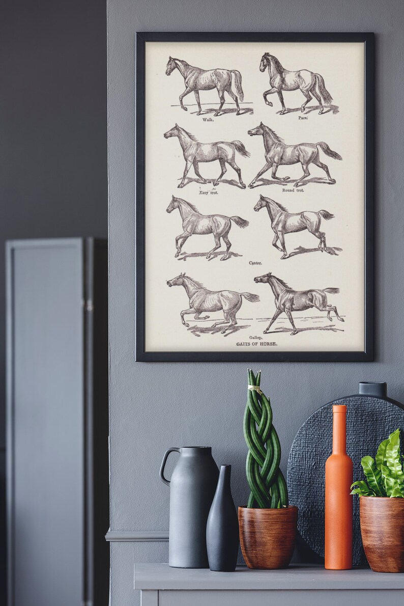 Vintage Horse Wall Art Digital Download Rustic Farm House Decor Antique