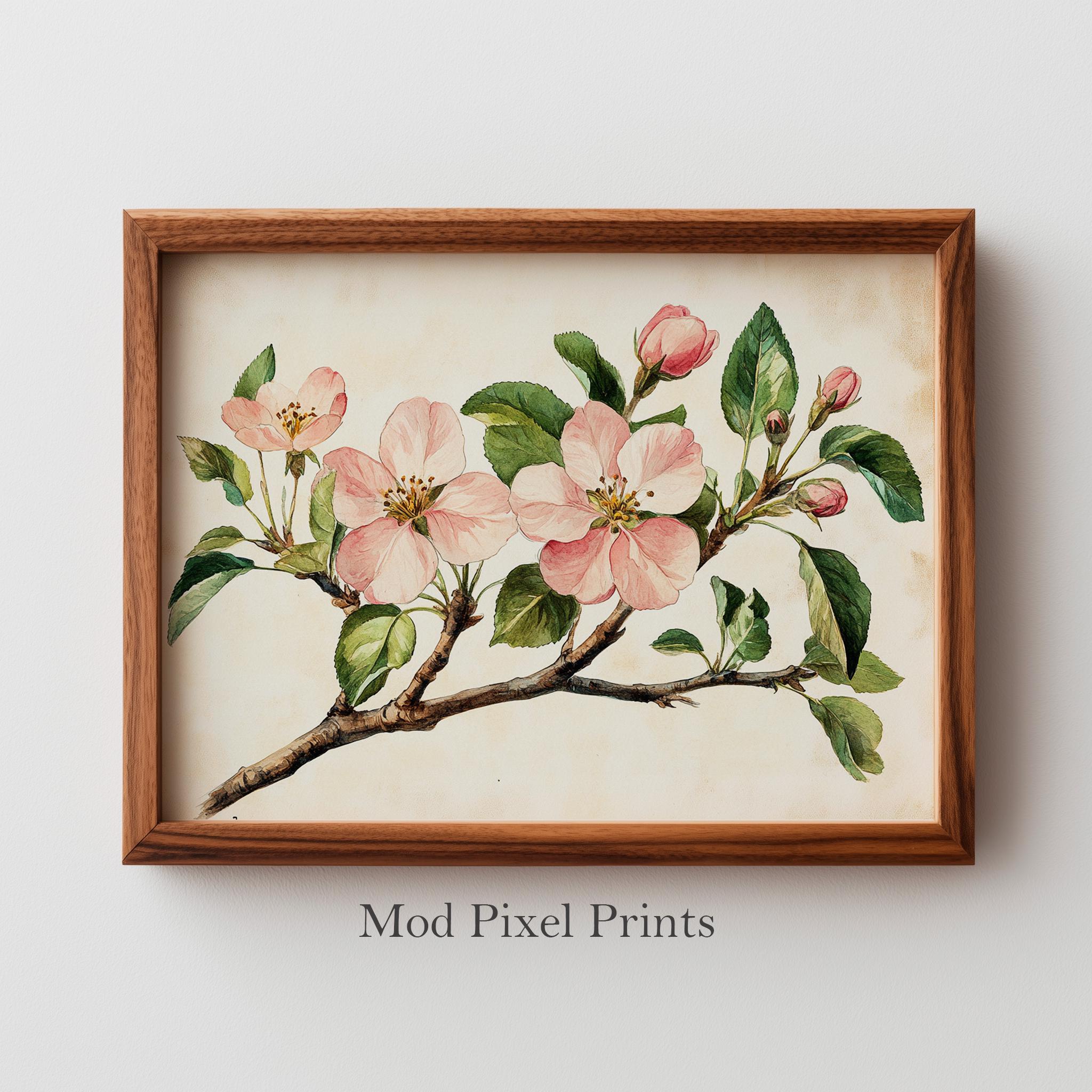 Vintage Apple Blossoms Botanical Print - Printable Cottagecore Floral ...