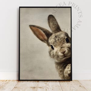 May include: A framed print featuring a detailed illustration of a rabbit peeking from the side. The rabbit has brown and gray fur, with long ears and dark eyes. The artwork is set against a neutral background.
