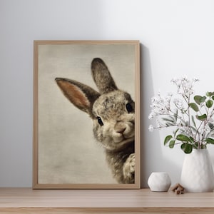 May include: A framed print featuring a detailed illustration of a rabbit peeking from the side. The rabbit has brown and gray fur, with long ears and dark eyes. The artwork is set against a neutral background, and the frame is made of light-colored wood.