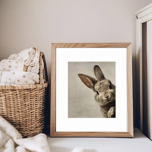 May include: A framed print featuring a detailed, vintage-style illustration of a curious rabbit. The rabbit is depicted in shades of gray and brown, with long ears and a soft, textured appearance. The artwork is set in a light wood frame.