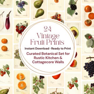 Op de afbeelding: Een verzameling van 24 vintage fruitprints, met botanische illustraties van verschillende vruchten zoals peren, druiven en sinaasappels. De prints zijn gerangschikt op een crèmekleurige achtergrond. De tekst in het midden luidt "24 Vintage Fruit Prints" en "Instant Download - Ready to Print".