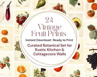 Könnte beinhalten: Eine Sammlung von 24 Vintage-Frucht-Drucken mit botanischen Illustrationen verschiedener Früchte wie Birnen, Trauben und Orangen. Die Drucke sind auf einem cremefarbenen Hintergrund angeordnet. Der Text in der Mitte lautet "24 Vintage Fruit Prints" und "Instant Download - Ready to Print".