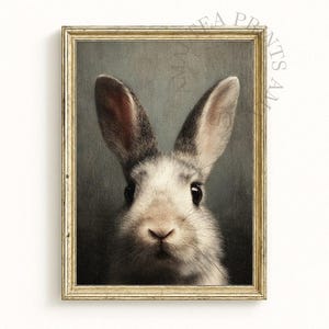 Op de afbeelding: Een ingelijst portret van een konijn met grijs en wit haar, grote oren en donkere ogen. Het kunstwerk heeft een vintage esthetiek, met een goudkleurige lijst en een gedempte achtergrond.