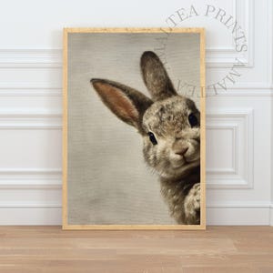 May include: A framed print featuring a close-up of a curious rabbit. The rabbit has brown and gray fur, with long ears and dark eyes. The print is in a light-colored wooden frame, perfect for a nursery or farmhouse decor.