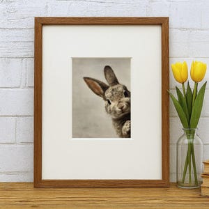 May include: Framed print featuring a detailed, sepia-toned image of a rabbit peeking from the side. The rabbit has long ears and a soft, textured appearance. The frame is a warm brown color, and the print is set against a white mat.