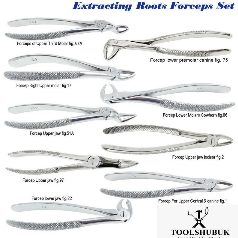 thumbnail interactive-video image 1 of AA Pro Dental Tooth Extraction Forceps #75 – Stainless Steel, Dentist Lab Tool 1 of 6