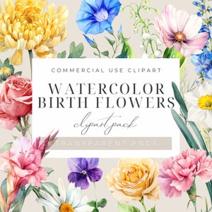 Birth Month Flower Clipart, Watercolor Floral PNG Bundle, DIY Birth Month Flower Bouquet Print Set, Vintage Botanical Clip Art