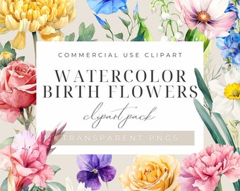 Birth Month Flower Clipart, Watercolor Floral PNG Bundle, DIY Birth Month Flower Bouquet Print Set, Vintage Botanical Clip Art