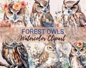 20 Watercolor Owls Clipart, Floral Owls clip art, Mystical Owl Png, Nursery Clipart, Forest Animal Illustration, Nursery Owl Art