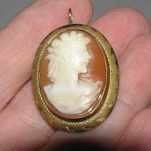 Cameo -Italian Carved Conch Shell  &quot;Alexander The Great!&quot; 12K GF Antique Italian Pendant Brooch Beautiful- Unisex