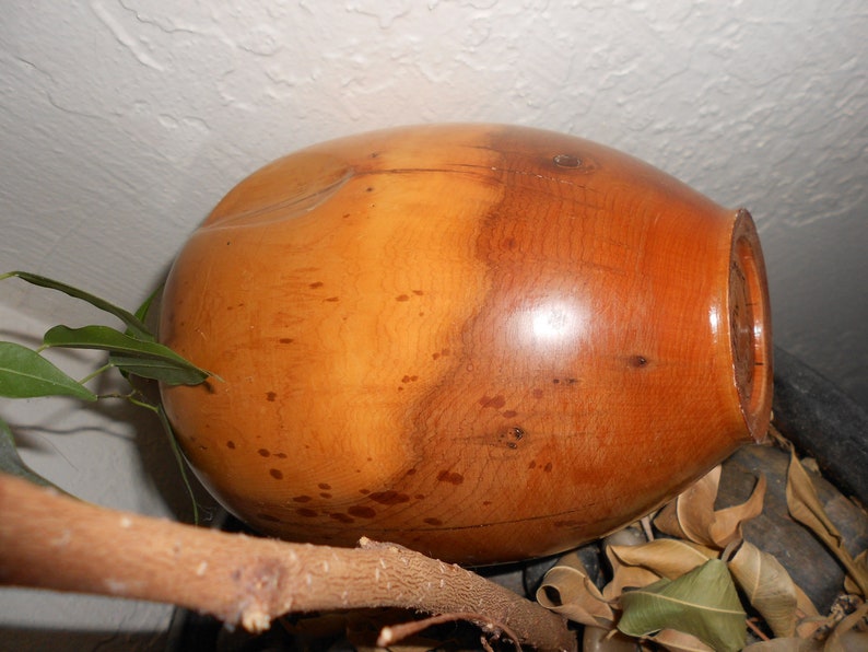 YEW Wood Vase Amazing Studio Turned Beauty Earthy Creation Artist Signed Vincente Garrido Mid Century Modern Organic Beauty image 1