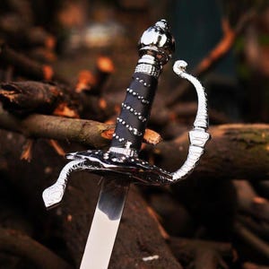Mask of Zorro Sword, Rapier Sword of Zorro from Legend of Zorro Wedding Gift,Christmas Gift,