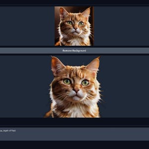 May include: A close-up of a ginger cat with green eyes, set against a dark background. The cat has a fluffy coat with white and brown markings. The image is a studio shot, with the cat's face centered.