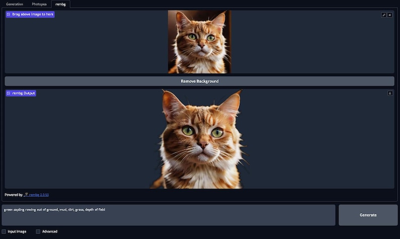 May include: A close-up of a ginger cat with green eyes, set against a dark background. The cat has a fluffy coat with white and brown markings. The image is a studio shot, with the cat's face centered.