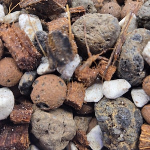 May include: Close-up of a mix of natural substrate materials. The image shows a variety of textures and colors, including light and dark gray stones, brown coconut husk pieces, and small, round, brown pebbles. The substrate is likely for terrariums or vivariums.