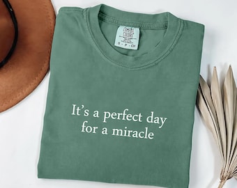 IVF Strong Matching Shirts, Comfort Colors® Transfer Day Tee for Couples, Miracle Baby Shirt, IVF Gift for Parent, Embryo Transfer Day Shirt