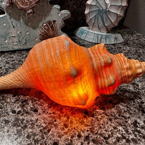 May include: An illuminated orange seashell lamp with a warm glow. The lamp is shaped like a conch shell and has a textured surface. The lamp is plugged in and ready to use. Decorative coastal decor.
