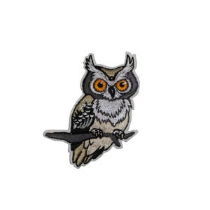 May include: Embroidered owl patch featuring a detailed design. The owl has large orange eyes, a tan and white body, and is perched on a dark gray branch. The patch is suitable for jackets, bags, or other fabric items.